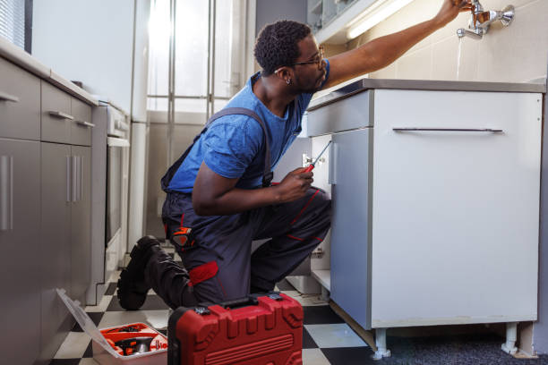 Best Plumbing Inspection Services  in Lacon, IL